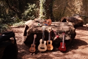 Ukuleles at Marlay Park Ukuleles at Marlay Park